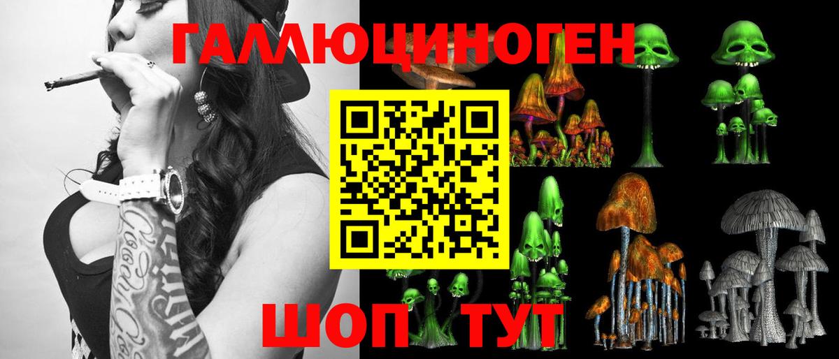 Дятьково  Псилоцибиновые грибы прущие грибы  Вход с VPN 